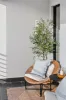 27 Wiltshire Drive, Lightsview, SA 5085-Image