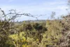 27 Winns Road, Blackwood, SA 5051-Image