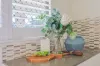 2708 Springbrook Road, Springbrook, Qld 4213-Image