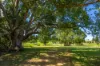 271 Old Goomboorian Road, Veteran, Qld 4570-Image
