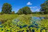 271 Old Goomboorian Road, Veteran, Qld 4570-Image