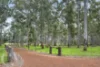 271 Redgate Road, Witchcliffe, WA 6286-Image
