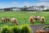 271 Redgate Road, Witchcliffe, WA 6286-Image