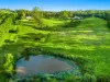 272 Sneaths Road, Wollongbar, NSW 2477-Image