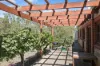 273 Polish Hill River Road, Polish Hill River, SA 5453-Image