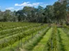 273 Polish Hill River Road, Polish Hill River, SA 5453-Image