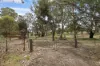 273 Polish Hill River Road, Polish Hill River, SA 5453-Image