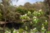 275 Yandoit Township Road, Franklinford, Vic 3461-Image