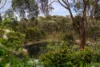 275 Yandoit Township Road, Franklinford, Vic 3461-Image