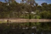 275 Yandoit Township Road, Franklinford, Vic 3461-Image