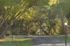 2756 Eumundi Kenilworth Road, Kenilworth, Qld 4574-Image