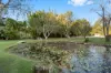 2756 Eumundi Kenilworth Road, Kenilworth, Qld 4574-Image