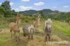 276 Fourfoot Road, Geeveston, Tas 7116-Image