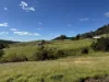 276 Little Careys Trail, Candelo, NSW 2550