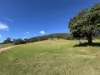 276 Little Careys Trail, Candelo, NSW 2550-Image