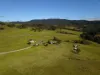 276 Little Careys Trail, Candelo, NSW 2550-Image