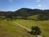 276 Little Careys Trail, Candelo, NSW 2550-Image