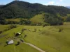 276 Little Careys Trail, Candelo, NSW 2550-Image