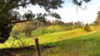 2765, Coaldale NSW 2460-Image