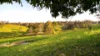 2765, Coaldale NSW 2460-Image