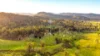 2765, Coaldale NSW 2460-Image