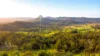 2765, Coaldale NSW 2460-Image