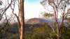 2765, Coaldale NSW 2460-Image