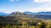 2765 Coaldale Road, Coaldale, NSW 2460