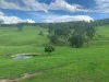 2765 Coaldale Road, Coaldale, NSW 2460-Image