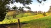 2765 Coaldale Road, Coaldale, NSW 2460-Image