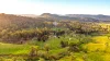 2765 Coaldale Road, Coaldale, NSW 2460-Image