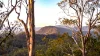 2765 Coaldale Road, Coaldale, NSW 2460-Image