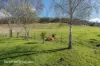 2770 Huon Highway, Huonville, Tas 7109-Image