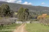 2770 Huon Highway, Huonville, Tas 7109-Image