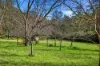 277A, B & C Upper, Colo NSW 2756-Image
