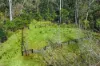 277A, B & C Upper, Colo NSW 2756-Image