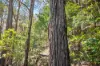 277A, B & C Upper, Colo NSW 2756-Image