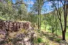 277A, B & C Upper, Colo NSW 2756-Image