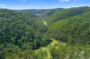 277A, B & C Upper, Colo NSW 2756-Image