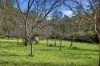 277A, B & C Upper Colo Road, Colo, NSW 2756-Image