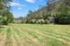 277A, B & C Upper Colo Road, Colo, NSW 2756-Image