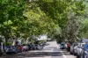 278 Nelson Street, Annandale NSW 2038-Image