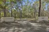 278 Old Mill Road, Wolumla, NSW 2550-Image
