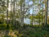 279 Bradys Lake Road, Bradys Lake, Tas 7140-Image