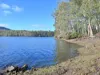 279 Bradys Lake Road, Bradys Lake, Tas 7140-Image