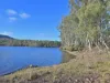 279 Bradys Lake Road, Bradys Lake, Tas 7140-Image