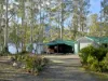 279 Bradys Lake Road, Bradys Lake, Tas 7140-Image