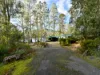 279 Bradys Lake Road, Bradys Lake, Tas 7140-Image