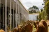279 John Lees Drive, Dilston, Tas 7252-Image