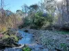 279 Molesworth Road, Molesworth, Tas 7140-Image